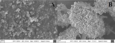 Polystyrene microplastics protect lettuce (Lactuca sativa) from the hazardous effects of Cu(OH)2 nanopesticides